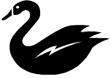 Black Swan York